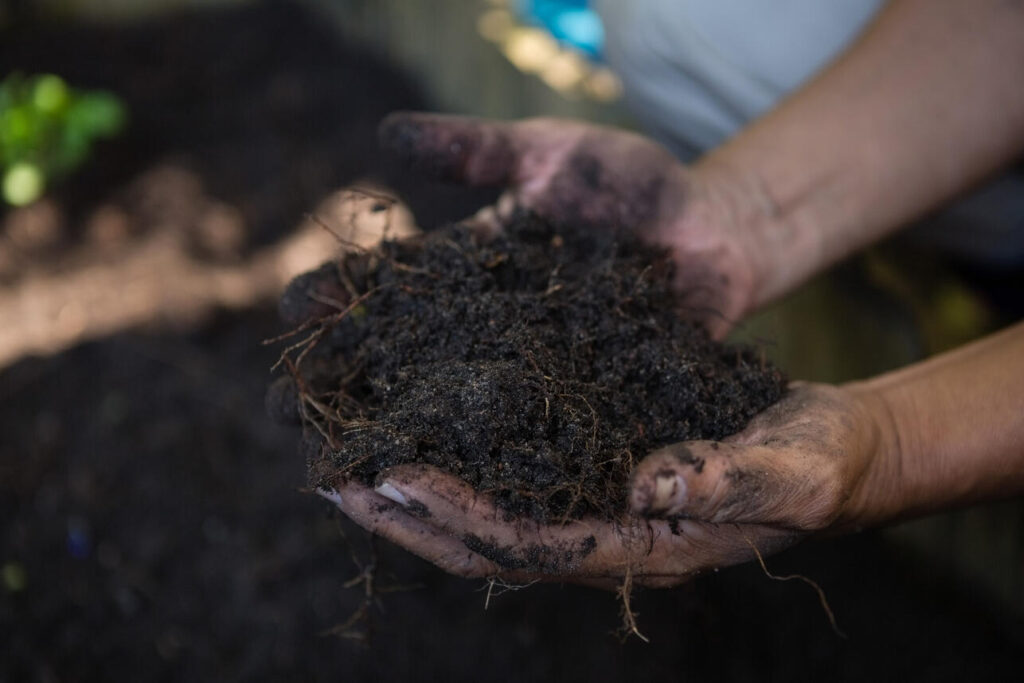 РћРїР°СЃРЅРѕРµ РїРѕР»РѕРІРѕРґСЊРµ Р·Р°С‚РѕРїРёС‚ РњРѕСЃРєРІСѓ вЂ” СЃРёРЅРѕРїС‚РёРє РўРёС€РєРѕРІРµС† РЅР°Р·РІР°Р» СЃСЂРѕРєРё С‚Р°СЏРЅРёСЏ СЃСѓРіСЂРѕР±РѕРІ