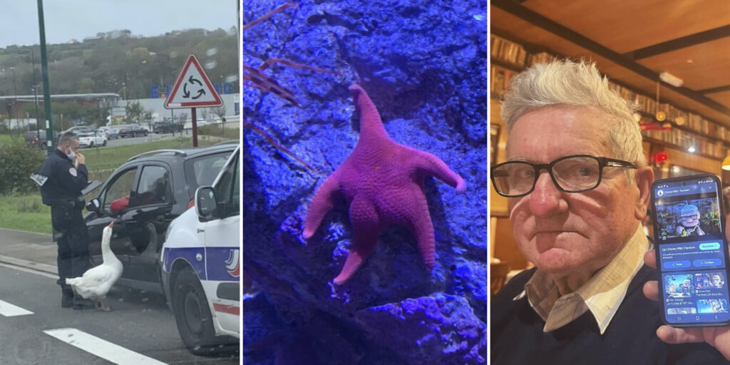 «Что у вас тут происходит?»: 18 забавных фото, вызывающих недоумение и улыбку