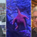 «Что у вас тут происходит?»: 18 забавных фото, вызывающих недоумение и улыбку