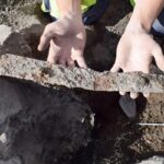 В Швеции нашли уникальные сокровища викингов — мечи, бусы и многое другое