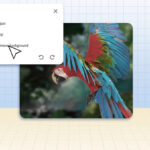 Adobe выпустила бесплатное расширение Photoshop для редактирования фото прямо в Chrome