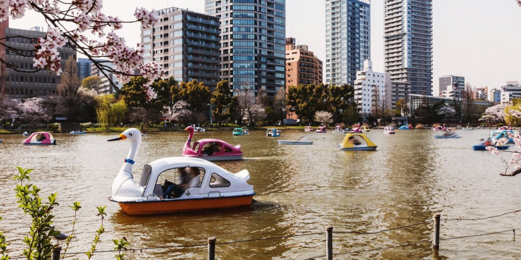 Tripadvisor назвал 25 лучших направлений для путешественников в 2026 году