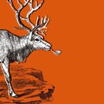 Объявлен конкурс «Редактор года — 2025», в жюри — главред Лайфхакера и «Горящей избы»