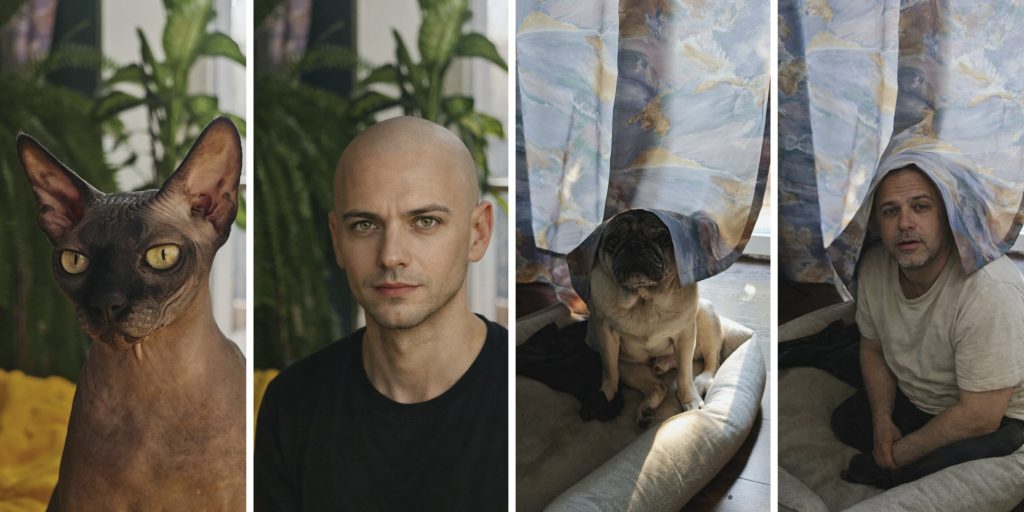 В Сети завирусился новый тред с очеловечиванием животных на фото при помощи ИИ