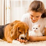 Забота о питомцах: полное руководство по уходу за любимыми друзьями