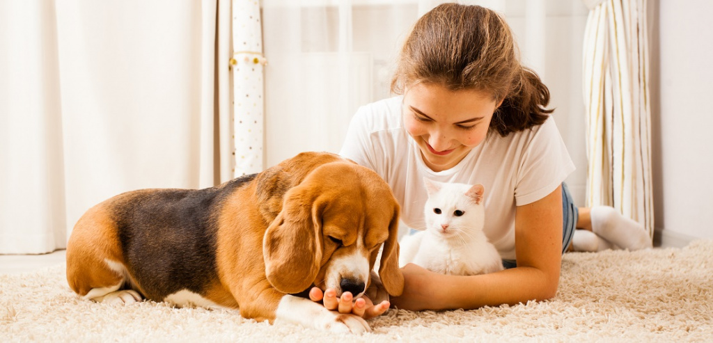 Забота о питомцах: полное руководство по уходу за любимыми друзьями