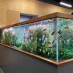 Большие аквариумы в дизайне интерьера: когда вода становится центром пространства