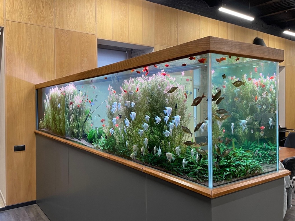 Большие аквариумы в дизайне интерьера: когда вода становится центром пространства