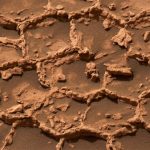 Curiosity нашёл на Марсе загадочные полигональные структуры, похожие на соты