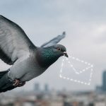 Голубиная почта: вышел мессенджер Roost, в котором сообщения доставляют виртуальные птицы с реальной скоростью