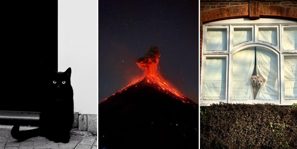 Ночной вулкан и попугай на арбузах: 13 победителей iPhone Photography Awards 2026